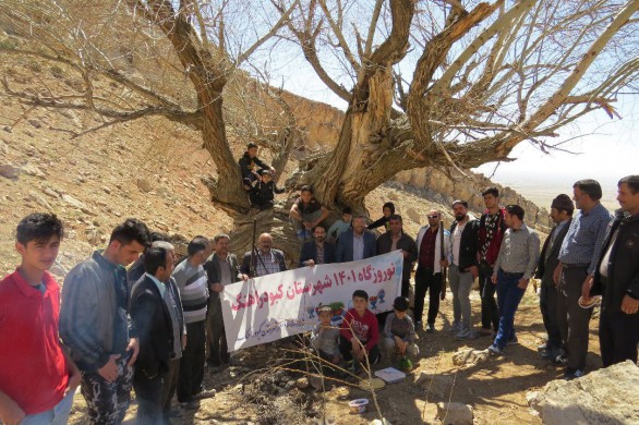 مراسم پاسداشت از درخت كهنسال بيد سفيد روستاي قطارآغاج برگزار شد