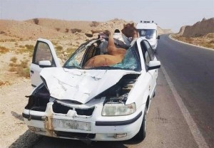رتبه دوم کبودراهنگ در تصادفات استان