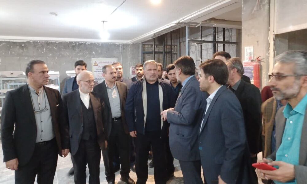 حمایت از صنایع دستی؛ محور بازدید کمیسیون اقتصادی از واحد سفال لالجین