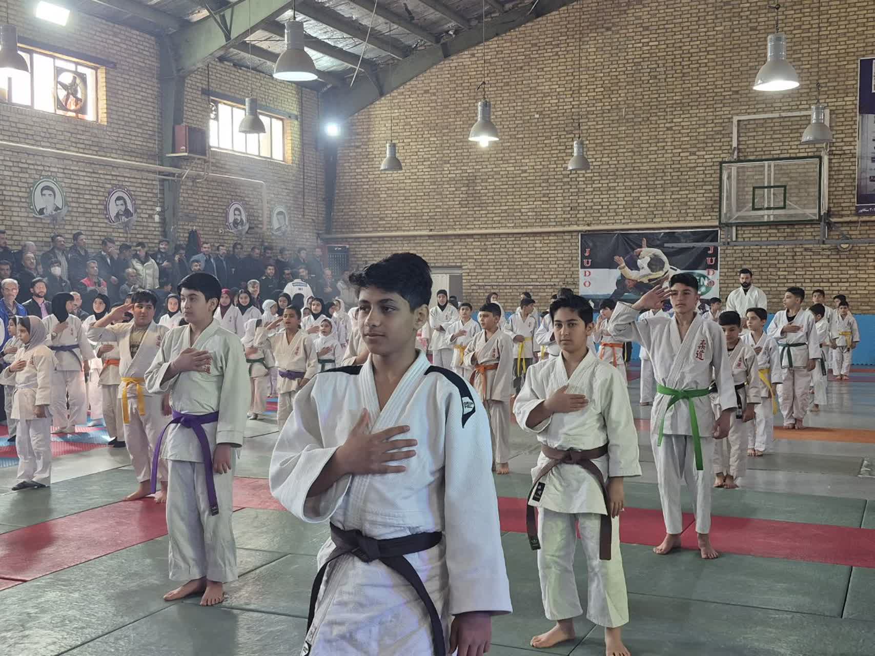 نهمین جشنواره فرهنگی ـ ورزشی جودو در شهرستان بهار برگزار شد